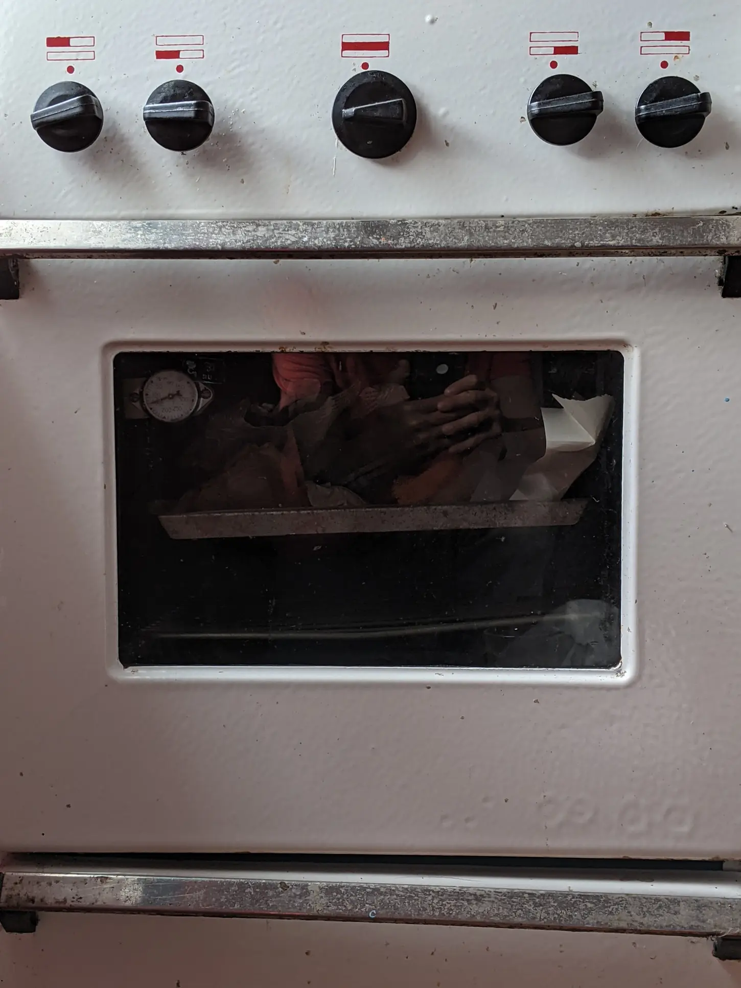 Oven diagnostic inspection close-up